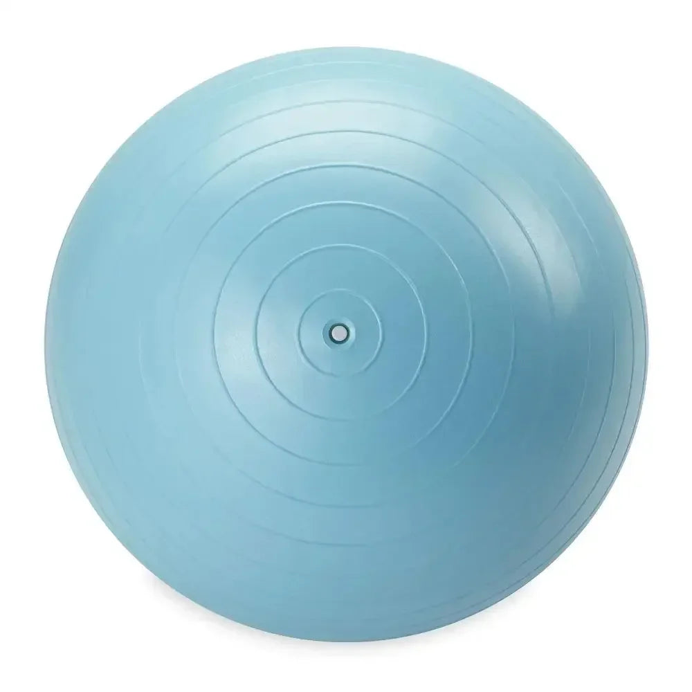 Weighted Stability Ball With Pump Included For Core Strength