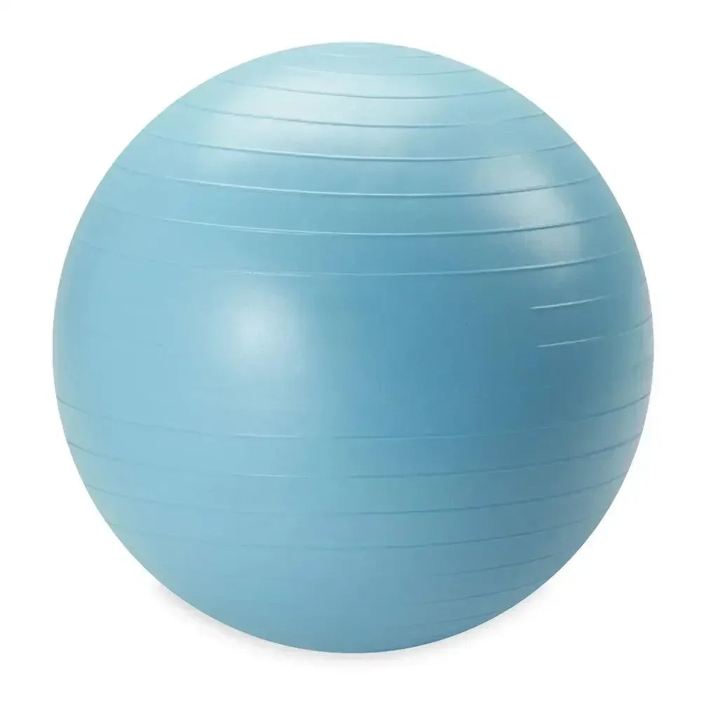Weighted Stability Ball With Pump Included For Core Strength