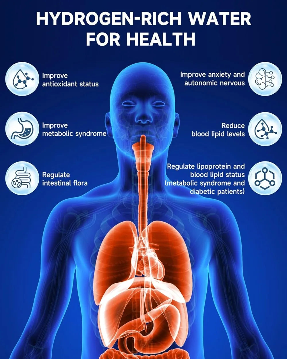 Portable Hydrogen Water Bottle With PEM-SPE Technology