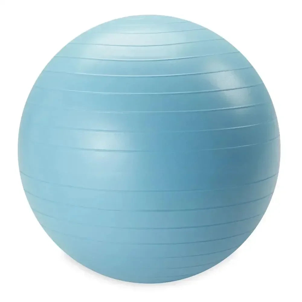 Weighted Stability Ball With Pump Included For Core Strength